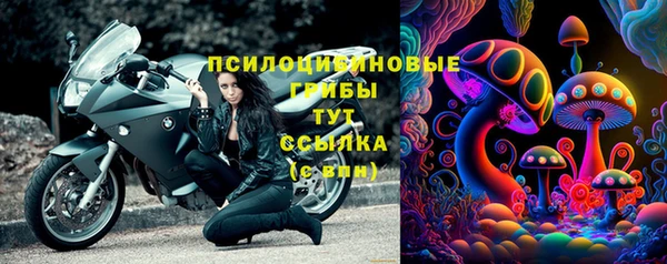 PSILOCYBIN Краснослободск