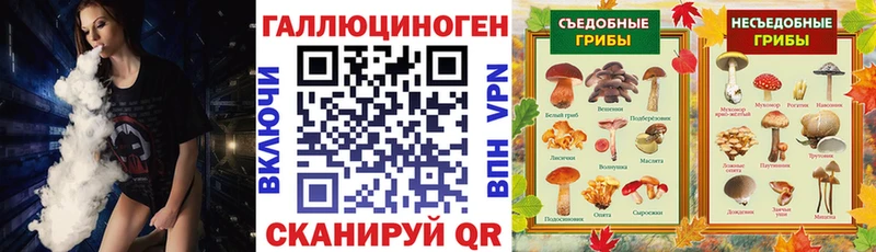 Галлюциногенные грибы прущие грибы Бабаево
