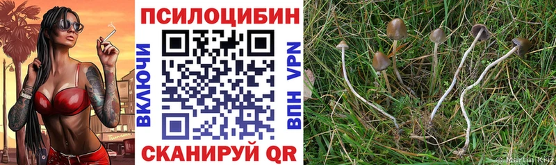 Галлюциногенные грибы мухоморы  Купить закладки  Бабаево 